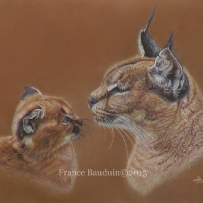 Caracal cub & mother - 26.5 hours
Terracotta Pastelmat
13.5" x 18.5"
Ref: Chris Saunderson Caracal cub & mother - 26.5 hours
Terracotta Pastelmat
13.5" x 18.5"
Ref: Chris Saunderson